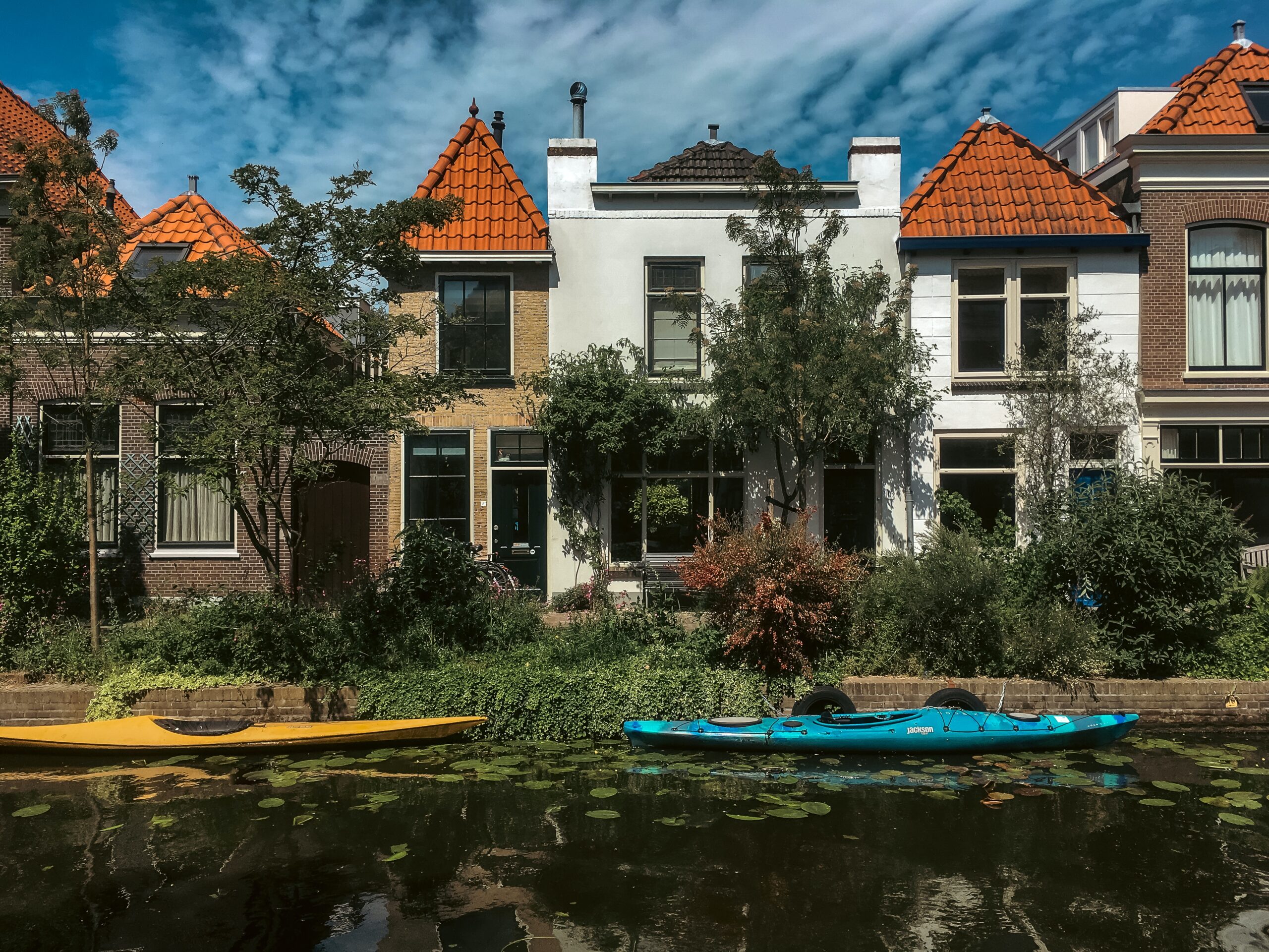 Inkijk tuin verminderen mijn aanpak IMSG